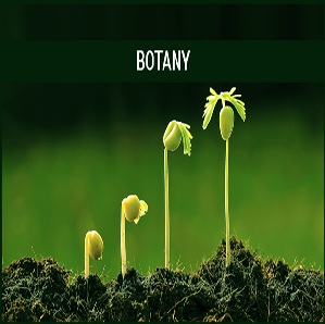 botany